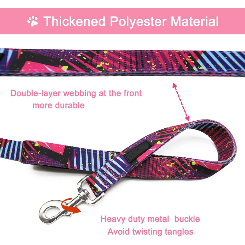 Soft Padded Handles for Safe Control Cute Printed Leash for Large Medium and Small Dogs