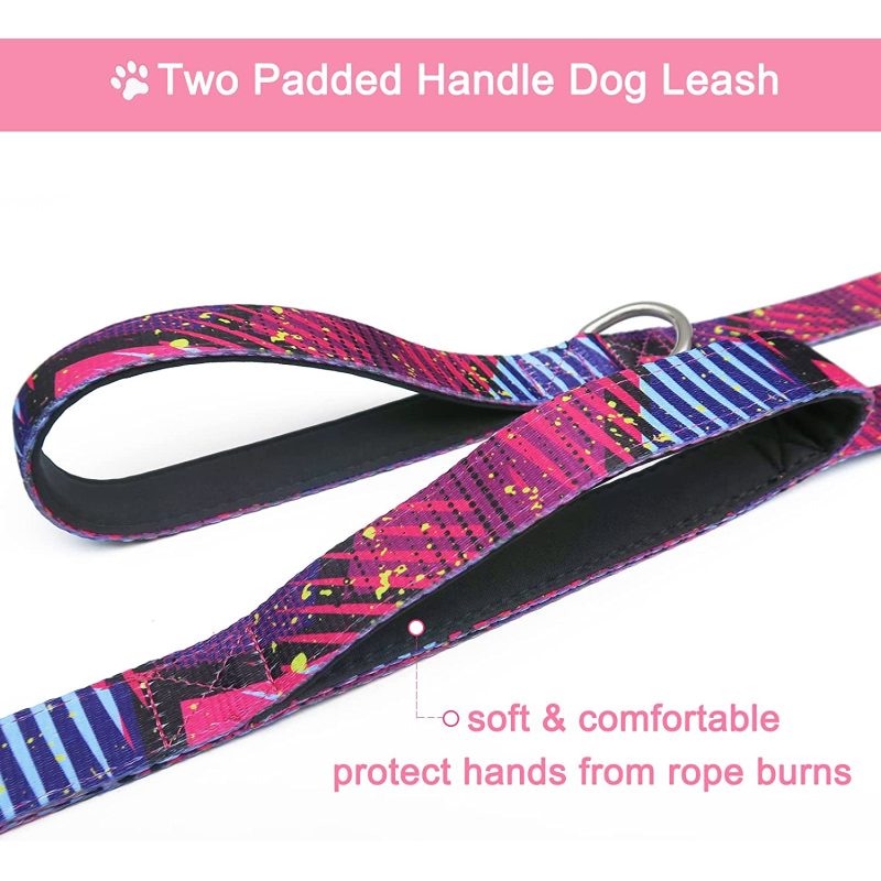 Soft Padded Handles for Safe Control Cute Printed Leash for Large Medium and Small Dogs