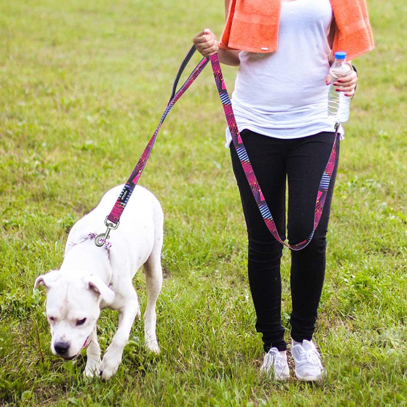 Soft Padded Handles for Safe Control Cute Printed Leash for Large Medium and Small Dogs