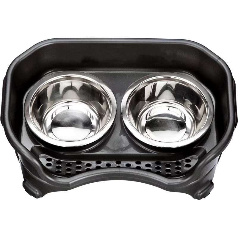 Express Elevated Dog Raised Pet Dish