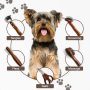 Professional Grooming Brushes Pet Care Tools For Dogs And Cats