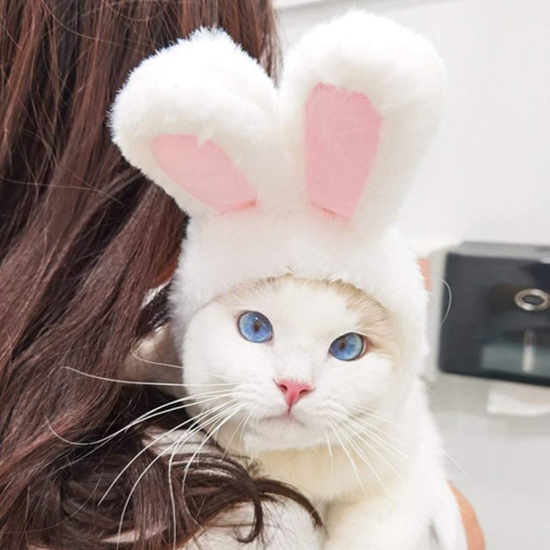 Soft Cute Costume Bunny Rabbit Hat with Ears for Cats