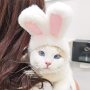 Soft Cute Costume Bunny Rabbit Hat with Ears for Cats