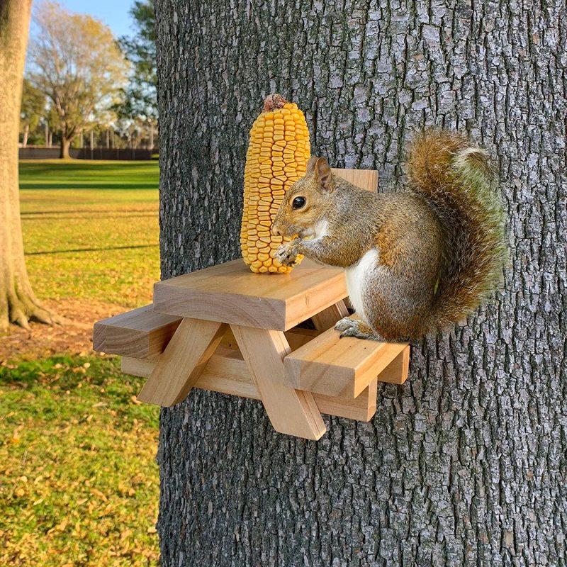 OEM Outside Squirrel & Chipmunk Feeder