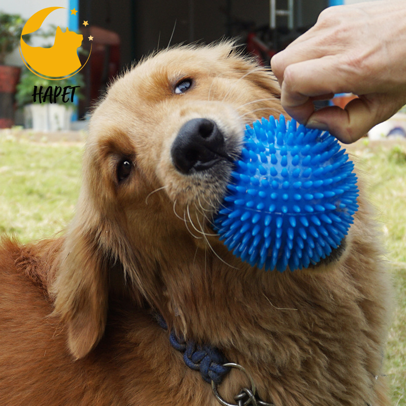 Cross-border popular pet toys chew sound toy ball dog bite elastic ball dog bite toy stinger ball
