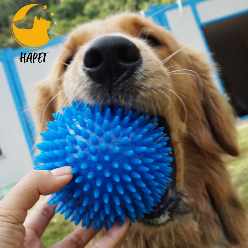 Cross-border popular pet toys chew sound toy ball dog bite elastic ball dog bite toy stinger ball
