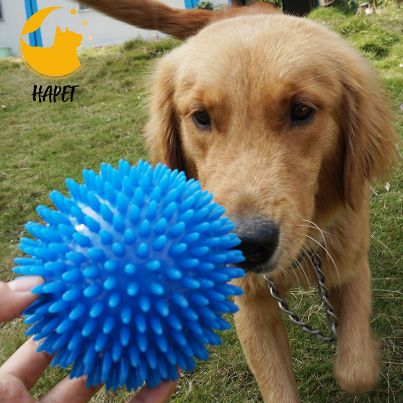 Cross-border popular pet toys chew sound toy ball dog bite elastic ball dog bite toy stinger ball