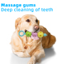 Molars Tooth Cleaning Pet Silicone New Chew Toy Pet For Dog