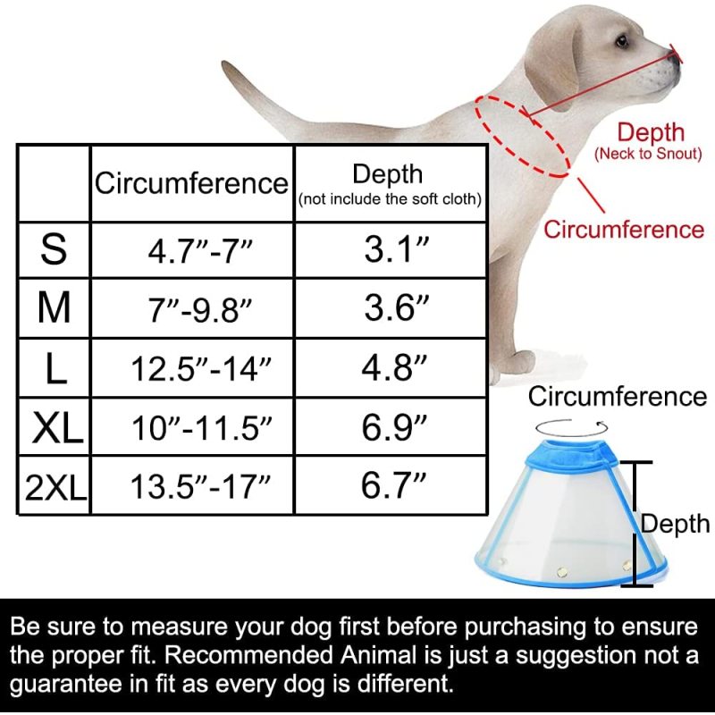 Product Soft Edge Plastic Pet Recovery Collar Healing Safety Practical Protective