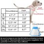 Product Soft Edge Plastic Pet Recovery Collar Healing Safety Practical Protective
