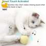 3 Pack Fluffy Plush Cat Ball Toys Interactive Chirping Balls Cat Kicker Catnip Toys