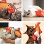 Floppy Fish Cat Toy, Moving Fish Toy Interactive Flopping Cat Kicker , Dancing Wiggle  Catnip Toys