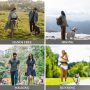 Adjustable Waist BeltRunning Waist Leash Durable Retractable Bungee Dog Running Waist Leash