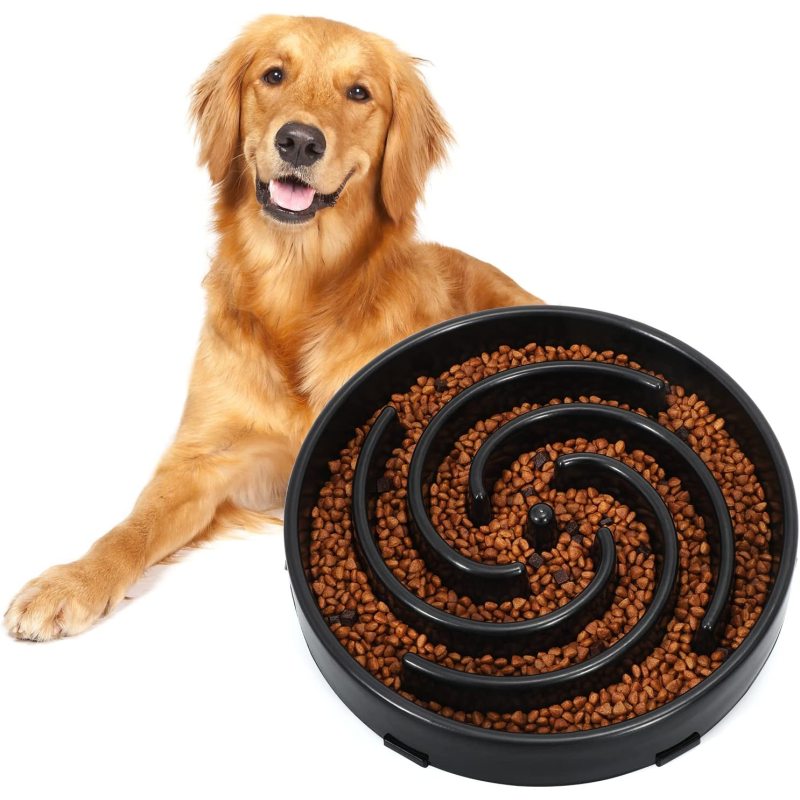 Preventing Choking Healthy Bowl Pet Slower Food Dishes Interactive Bloat