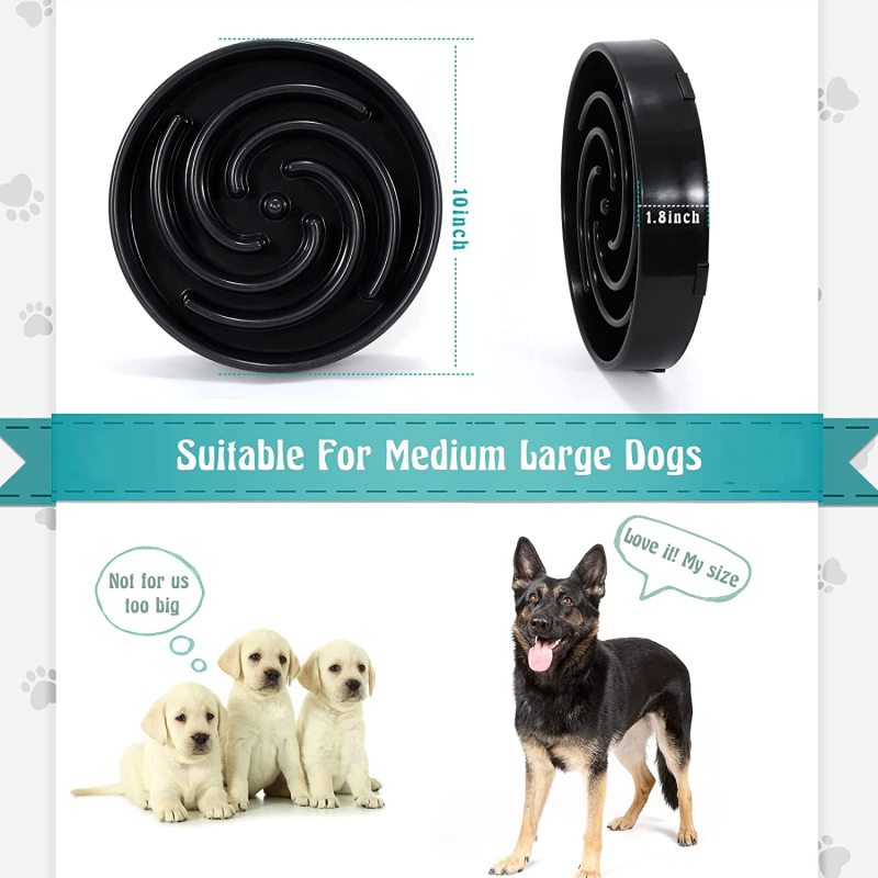 Preventing Choking Healthy Bowl Pet Slower Food Dishes Interactive Bloat