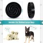 Preventing Choking Healthy Bowl Pet Slower Food Dishes Interactive Bloat
