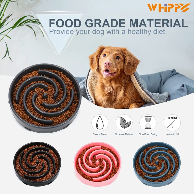 Preventing Choking Healthy Bowl Pet Slower Food Dishes Interactive Bloat