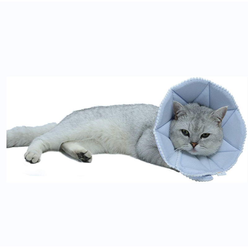 Dog Protective Cone Cat Recovery Collar Adjustable for Cats and Puppy