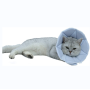 Dog Protective Cone Cat Recovery Collar Adjustable for Cats and Puppy
