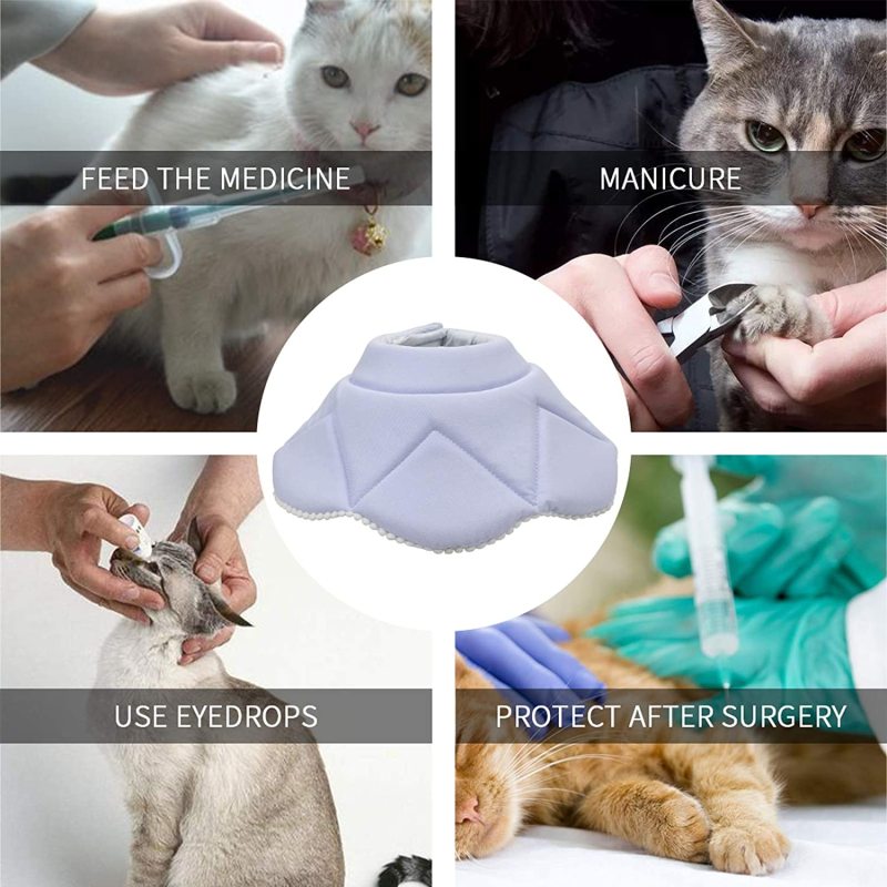 Dog Protective Cone Cat Recovery Collar Adjustable for Cats and Puppy