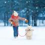 Christmas Dog Rope Toy Christmas Stocking Gift Set Cotton Rope Knot Chew Toy for Medium and Large Dogs Teething Clean