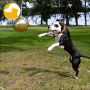 Tetherball for Dogs Tough Tetherball