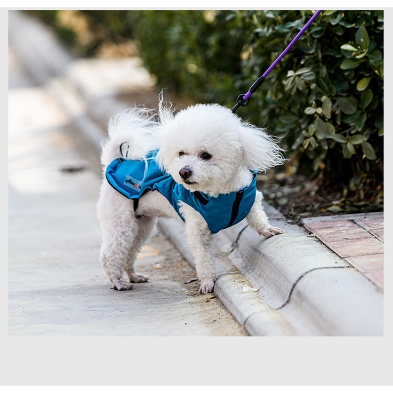 OEM/ODM Wholesale Waterproof Dog Jackets Dog Raincoat With Harness Dog Light Poncho Easy Walking & Sports Pet Poncho