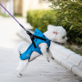 OEM/ODM Wholesale Waterproof Dog Jackets Dog Raincoat With Harness Dog Light Poncho Easy Walking & Sports Pet Poncho