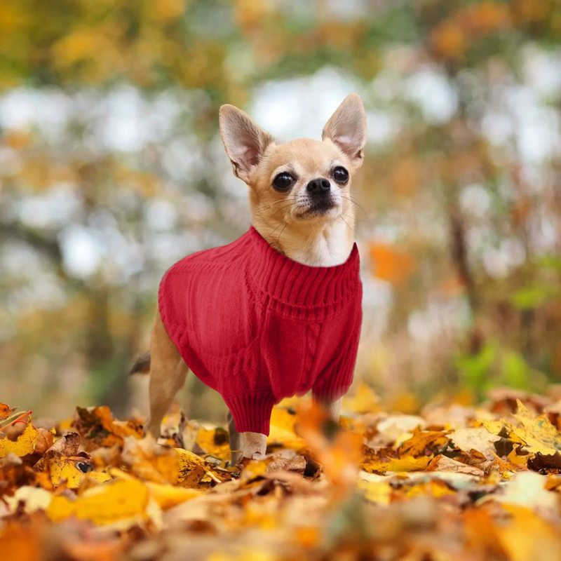 Suéter de invierno para perros, ropa para cachorros, suéter cálido de lana para gatos, abrigos para perros de cuello alto, suéter clásico de punto, Navidad, vacaciones, mascota A
