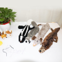 Pack Dog Squeaky Toys no Stuffing Toy with Crinkle Fabric for Small Medium Large Dog
