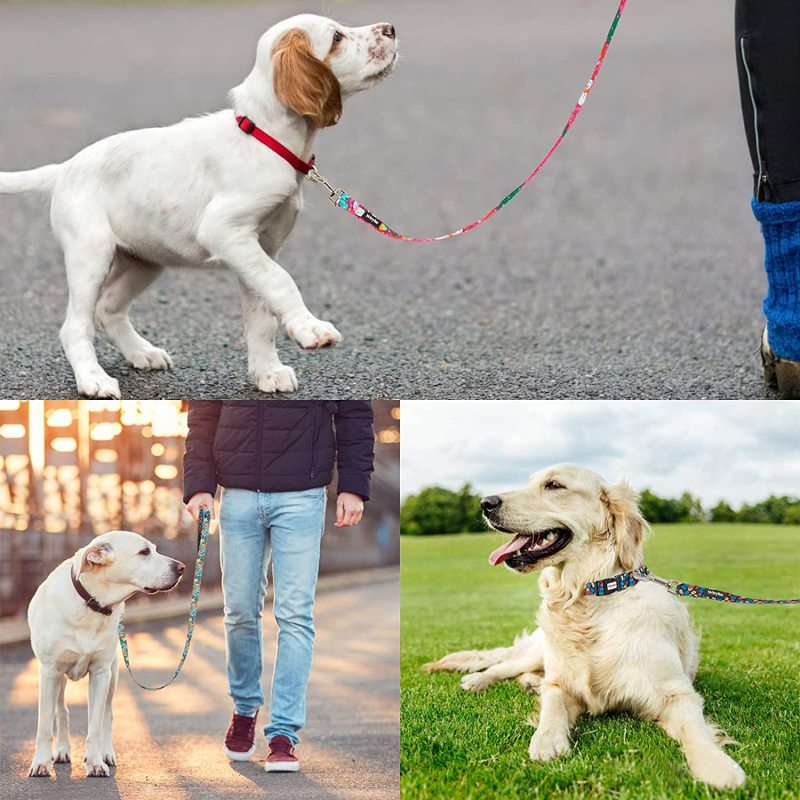 Medium and Large Dogs Printed Floral  Leashes for Cute Dog Leash