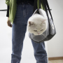 Pet Products Heated Thermo Kitty Heated Pet Bed for Cats and Dogs Pet Supplies