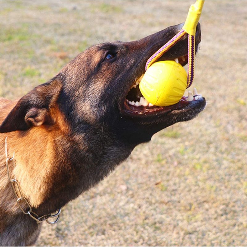 Dog Pet Rope Ball, EVA Rubber Ball on a Rope Dog Toy can Floats in Water, for Interactive Pet Chewing Training Working