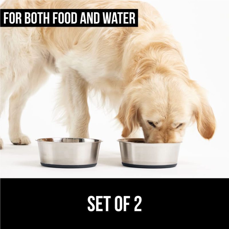 Quiet Pet Stainless Steel Metal Dog Bowl of Rubber Base for Cats and Dogs