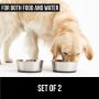 Quiet Pet Stainless Steel Metal Dog Bowl of Rubber Base for Cats and Dogs