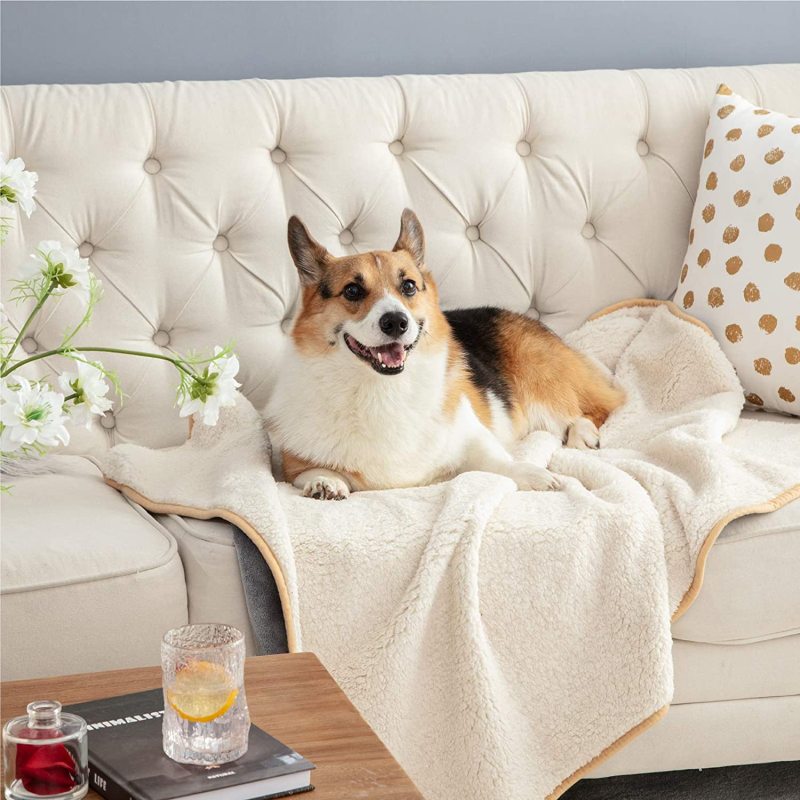 Waterproof Dog Blankets for Small Dogs - Small Cat Blanket Washable for Couch Protection- Sherpa Fleece Puppy Blanket, Soft Plus