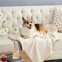 Waterproof Dog Blankets for Small Dogs - Small Cat Blanket Washable for Couch Protection- Sherpa Fleece Puppy Blanket, Soft Plus