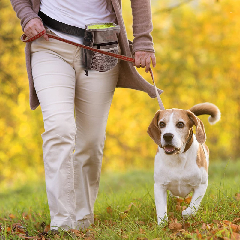 Dog Treat Training Pouch Easily Carries Pet Toys, Kibble, Treats  Built-In Poop Bag Dispenser