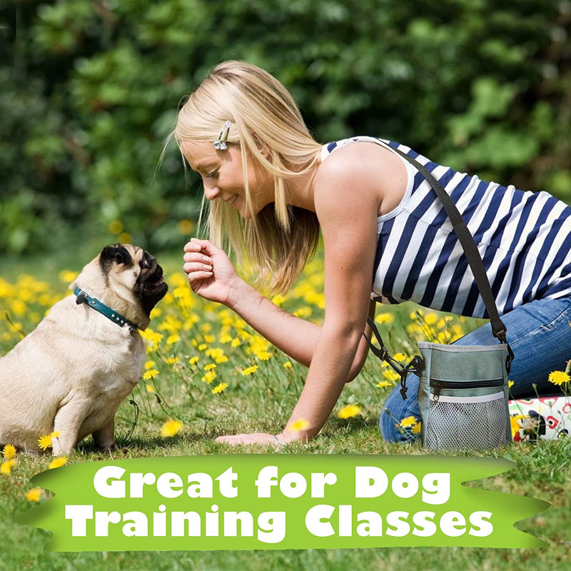 Dog Treat Training Pouch Easily Carries Pet Toys, Kibble, Treats  Built-In Poop Bag Dispenser