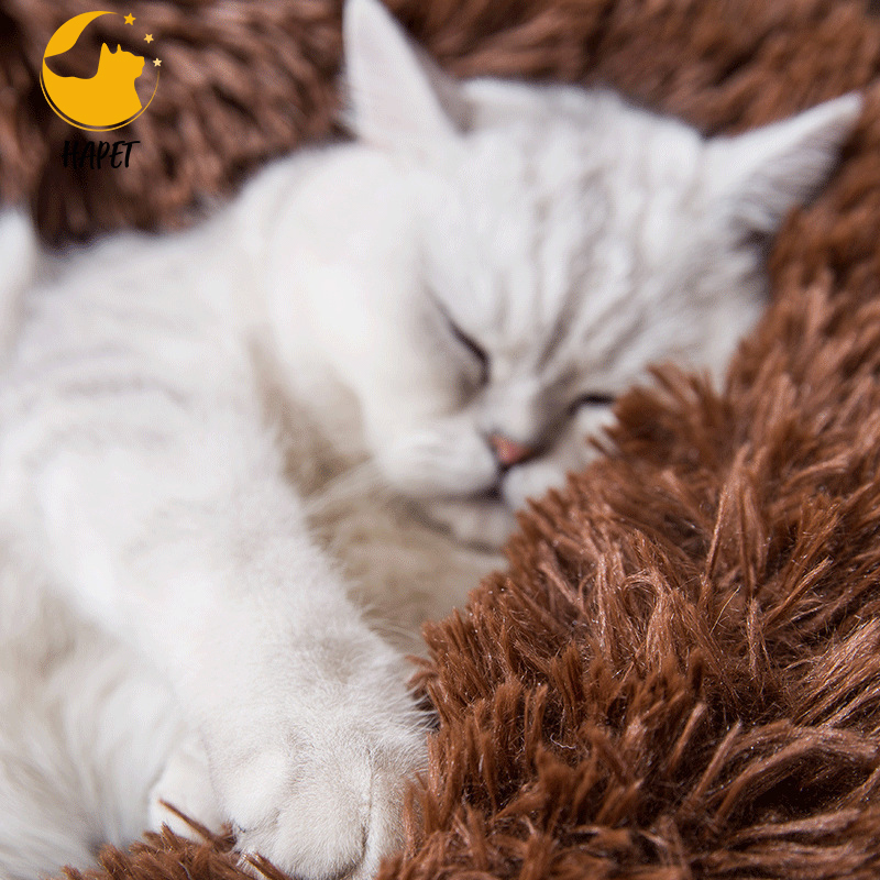 Hot Sale Customized Machine Washable Cat And Dog Bed In Shag Fur Plush Novelty Pet Bed Pet Nest