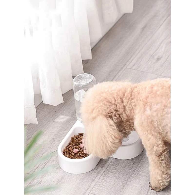 Twin-bowl Automatic Pet Waterer Settle at Corner Of Wall