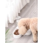 Twin-bowl Automatic Pet Waterer Settle at Corner Of Wall