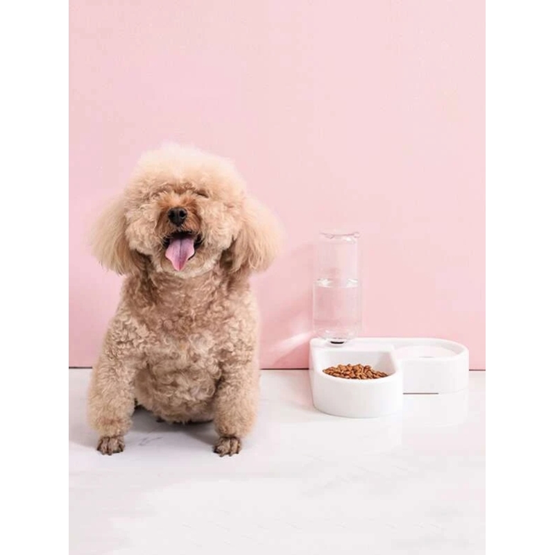 Twin-bowl Automatic Pet Waterer Settle at Corner Of Wall