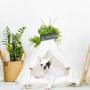 Portable Pet dog tent teepee Dog Bed Infolded Tent with Cushion Blackboard dog tent house