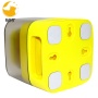 Pet Intelligence toy  Leaking Food Ball Toy Slow Feeder Dog Interactive Toy