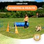 Complete Outdoor Dog Agility Training Equipment Course with Weave Poles Pause Box Tunnel