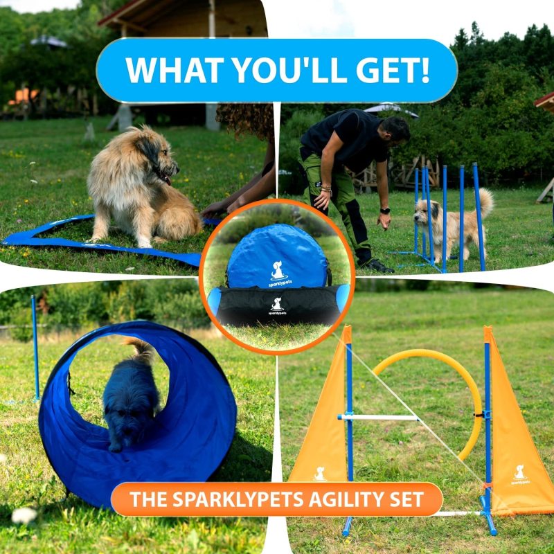 Complete Outdoor Dog Agility Training Equipment Course with Weave Poles Pause Box Tunnel