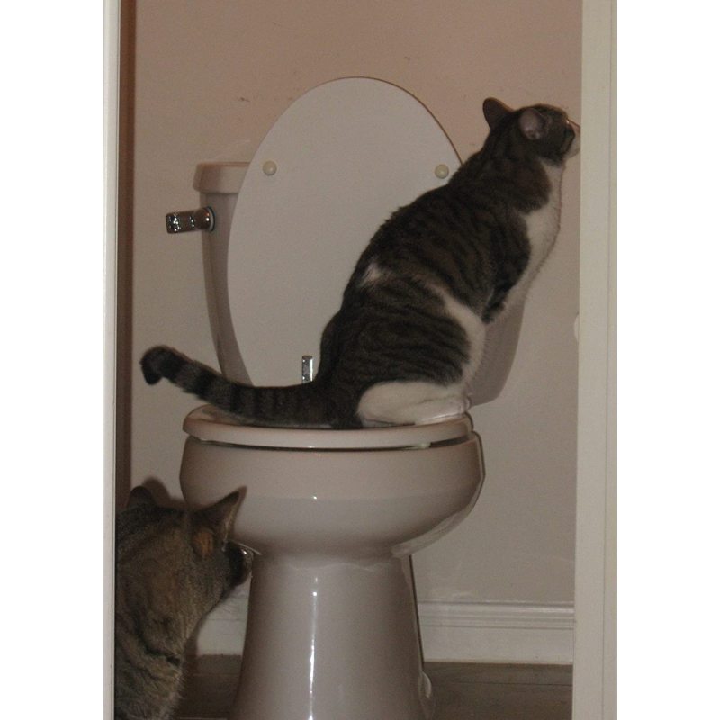 Cat Toilet Professional Trainning Tool Pet Toilet Seat Trainning Cover Urinal Seat