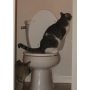 Cat Toilet Professional Trainning Tool Pet Toilet Seat Trainning Cover Urinal Seat