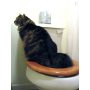 Cat Toilet Professional Trainning Tool Pet Toilet Seat Trainning Cover Urinal Seat
